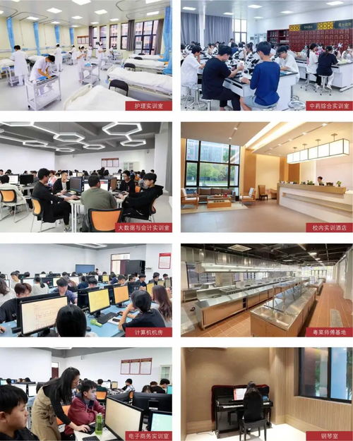 廣東酒店管理職業(yè)技術(shù)學(xué)院2024年春季高考餐飲管理專業(yè)詳解 開啟酒店服務(wù)業(yè)職業(yè)新篇章