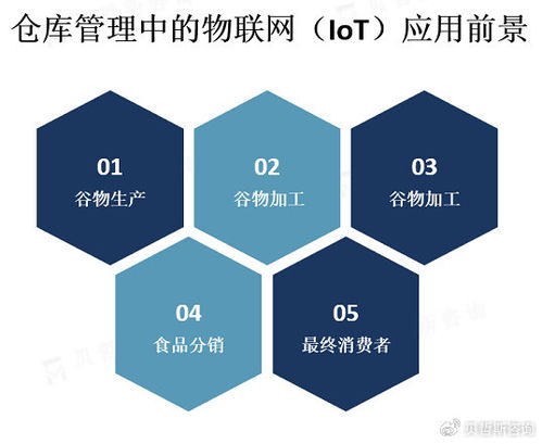 物聯網技術驅動下的現代倉庫管理 市場概覽與網絡技術咨詢服務